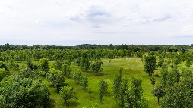 LOT1 Rutten Ln NE, Belle River Twp, MN 56319 - photo 10