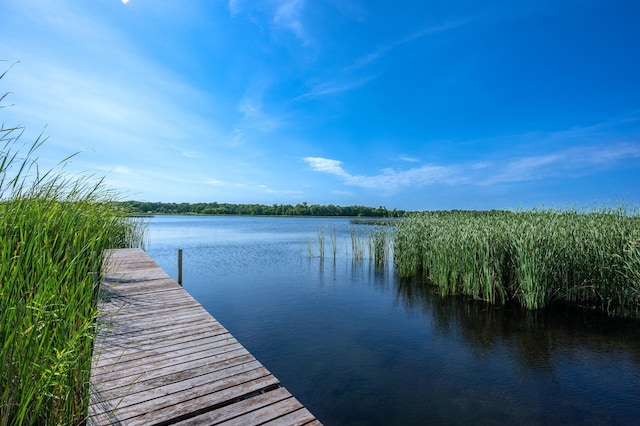 8149 Little Mary Cir SW, Alexandria, MN 56308 - photo 8
