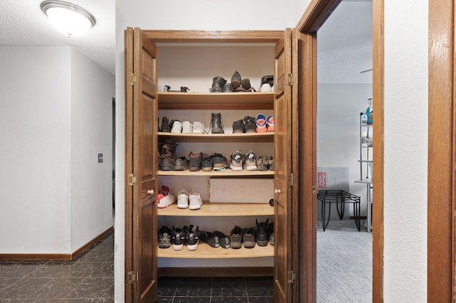 3850 Plymouth Blvd Unit 204, Plymouth, MN 55446 - view of closet