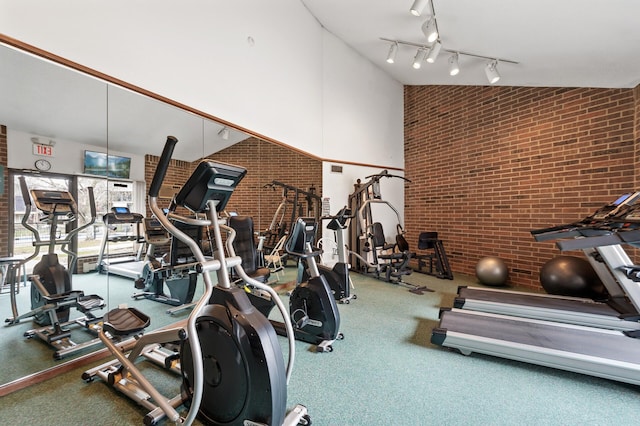 3850 Plymouth Blvd Unit 204, Plymouth, MN 55446 - workout area featuring a high ceiling and brick wall