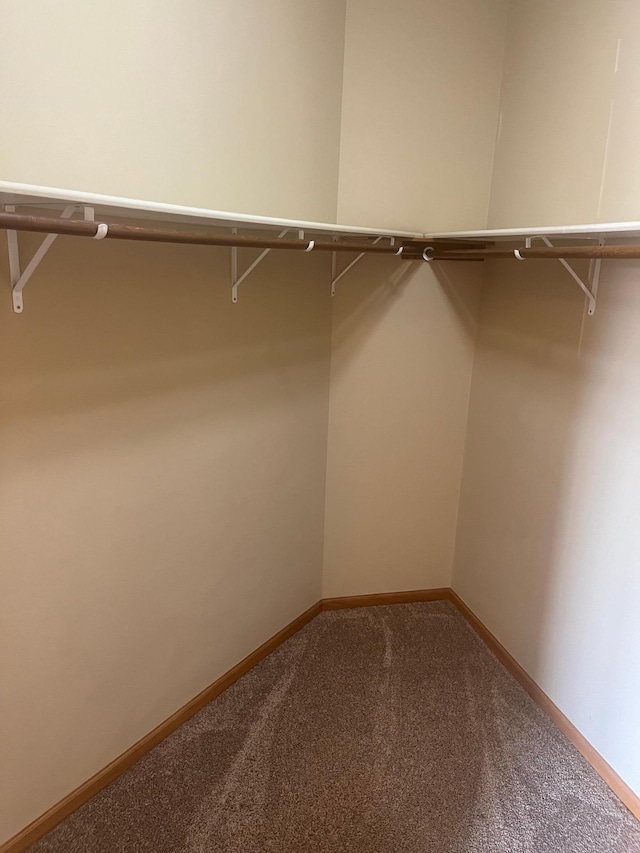 114200 Hundertmark Rd Unit 209, Chaska, MN 55318 - photo 10