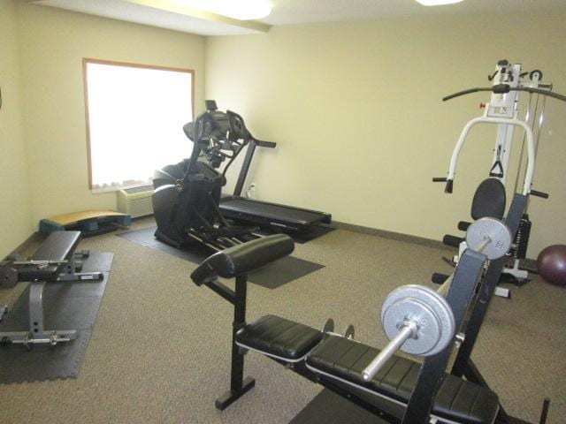114200 Hundertmark Rd Unit 209, Chaska, MN 55318 - photo 14