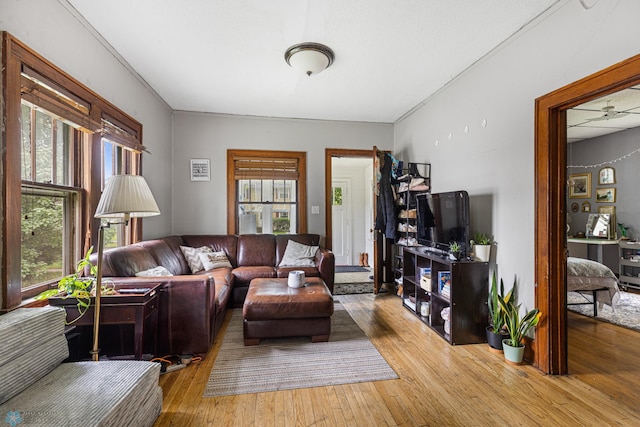 1329 12th St N, Fargo, ND 58102 - living room featuring wood-type flooring