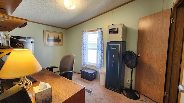 3665 Fox Ln, Pequot Lakes, MN 56472 - office featuring vaulted ceiling, carpet, crown molding, and a textured ceiling