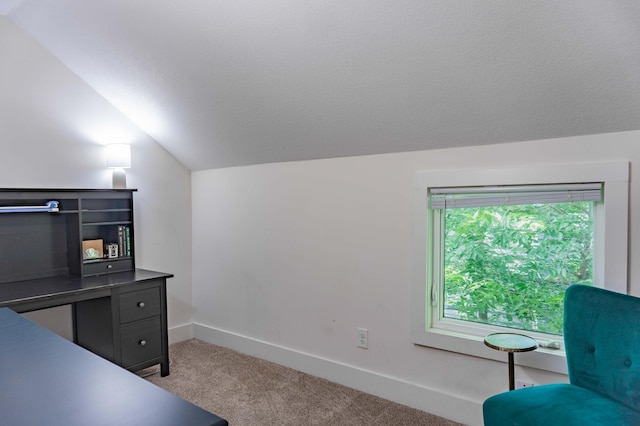 2700 Aldrich Ave N, Minneapolis, MN 55411 - office area featuring light carpet and lofted ceiling