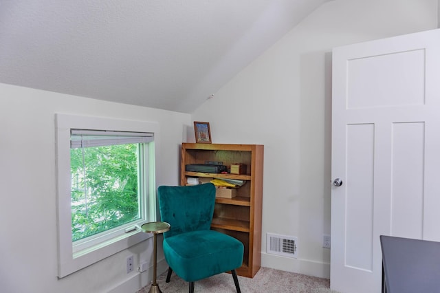 2700 Aldrich Ave N, Minneapolis, MN 55411 - living area with lofted ceiling and carpet flooring