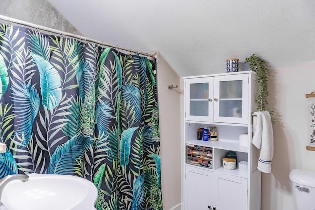2700 Aldrich Ave N, Minneapolis, MN 55411 - bathroom with vaulted ceiling and a shower with shower curtain