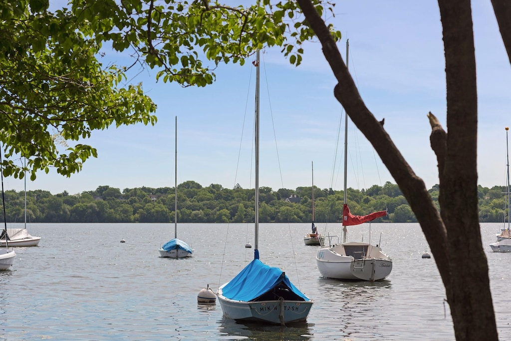 4430 Lake Harriet Pkwy Unit 202, Minneapolis, MN 55410 - water view featuring a heavily wooded area