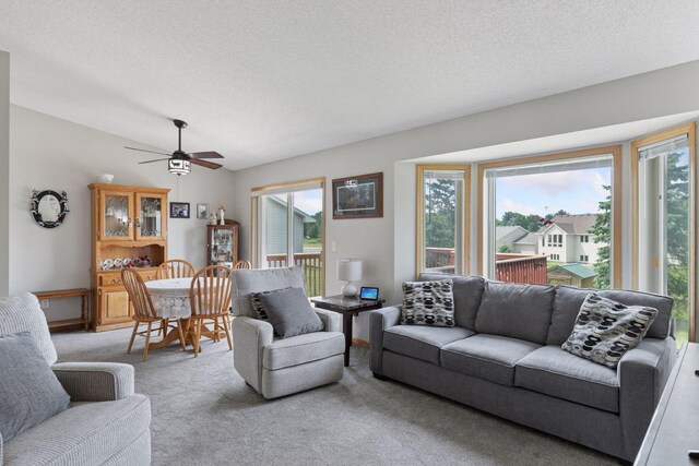 24186 Pierce St NE, Bethel, MN 55005 - photo 5
