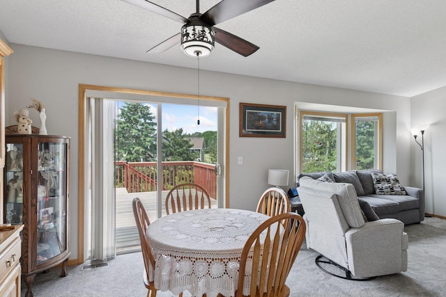 24186 Pierce St NE, Bethel, MN 55005 - photo 6