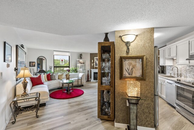 6615 Lake Shore Dr S Unit 314, Richfield, MN 55423 - living room featuring light wood finished floors, a textured ceiling, and a fireplace