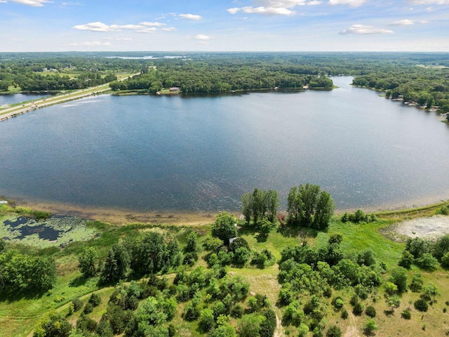 TBD Highway 169, Baldwin Twp, MN 55371 - photo 7