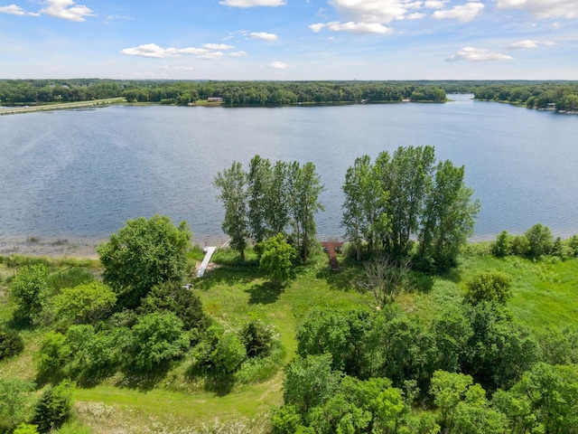 TBD Highway 169, Baldwin Twp, MN 55371 - photo 8