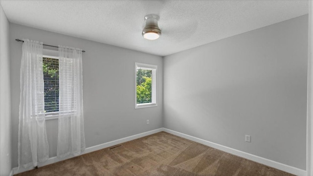 12720 Ibis St NW, Coon Rapids, MN 55448 - unfurnished room featuring carpet, a textured ceiling, and a ceiling fan