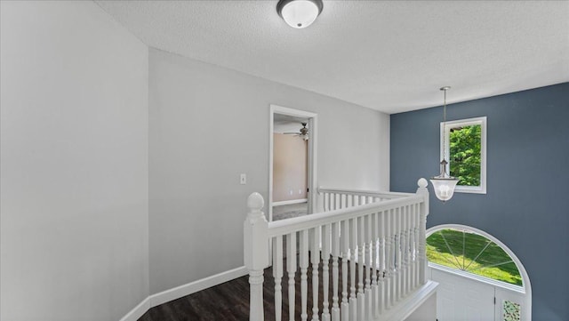 12720 Ibis St NW, Coon Rapids, MN 55448 - hallway with an upstairs landing, a textured ceiling, and dark wood-style flooring