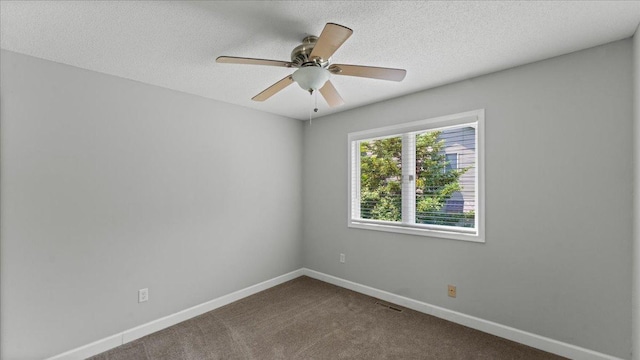 12720 Ibis St NW, Coon Rapids, MN 55448 - empty room with dark colored carpet, a ceiling fan, and a textured ceiling