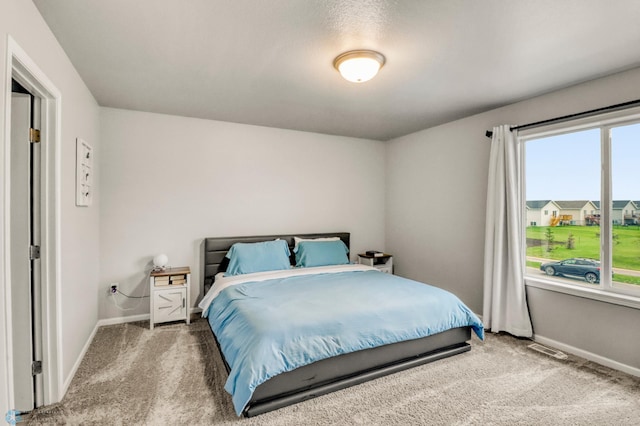 401 7th St E, Horace, ND 58047 - bedroom featuring carpet floors and multiple windows