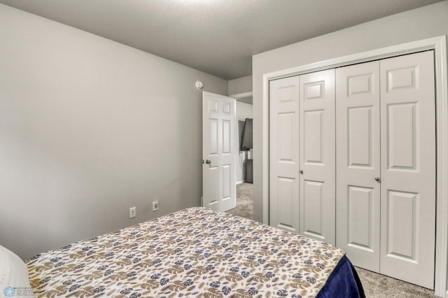 401 7th St E, Horace, ND 58047 - bedroom with light colored carpet and a closet