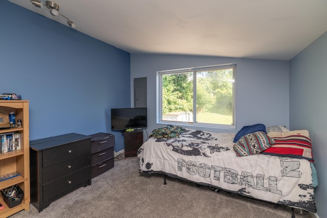 700 6th St E, Saint Paul, MN 55106 - carpeted bedroom featuring lofted ceiling and electric panel