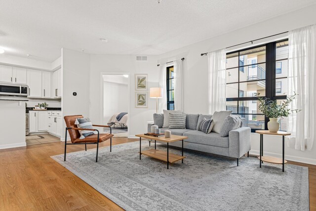 2566 Ellis Ave Unit 103, Saint Paul, MN 55114 - living room featuring light wood-type flooring and baseboards