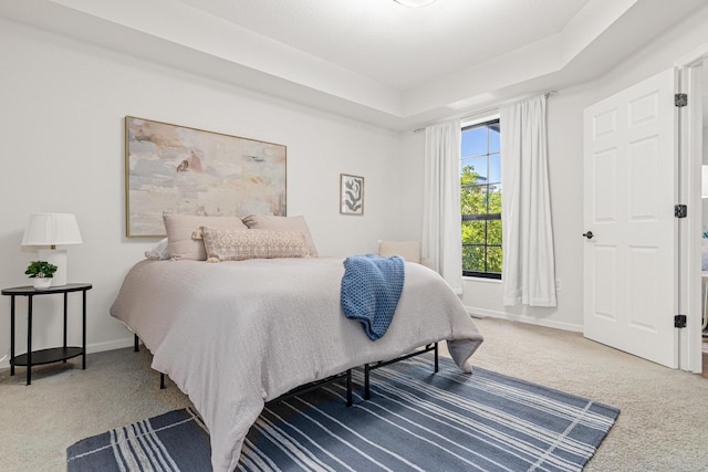 2566 Ellis Ave Unit 103, Saint Paul, MN 55114 - carpeted bedroom with baseboards and a raised ceiling