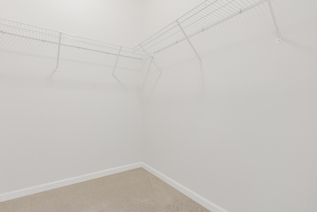 2566 Ellis Ave Unit 103, Saint Paul, MN 55114 - spacious closet with light carpet