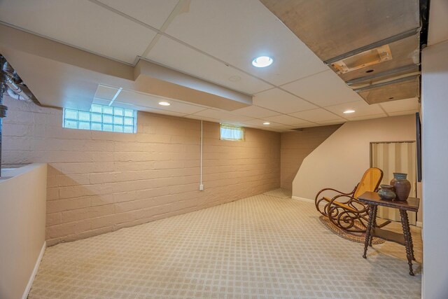 5229 42nd Ave S, Minneapolis, MN 55417 - below grade area featuring carpet floors
