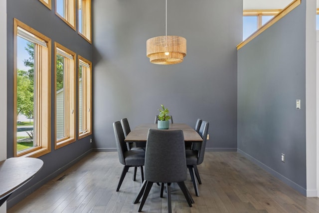 18675 86th Pl N, Maple Grove, MN 55311 - dining area featuring plenty of natural light, wood-type flooring, and a towering ceiling