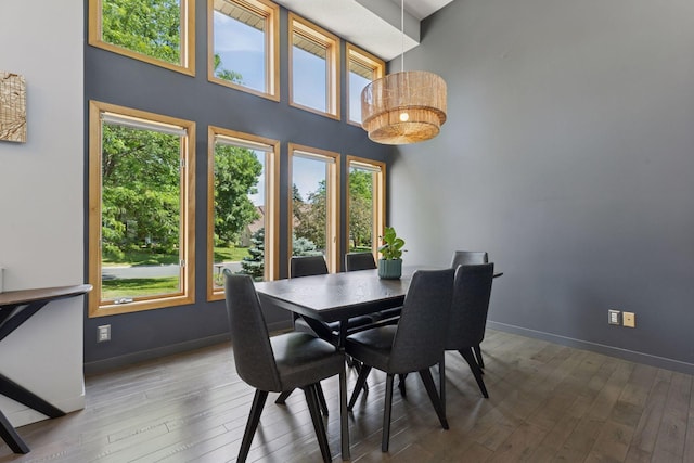 18675 86th Pl N, Maple Grove, MN 55311 - dining area featuring healthy amount of natural light, hardwood / wood-style flooring, and a towering ceiling