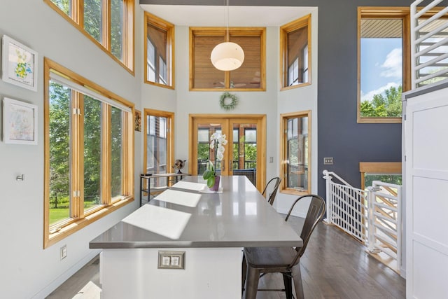 18675 86th Pl N, Maple Grove, MN 55311 - dining room featuring a towering ceiling, dark wood-style floors, and french doors