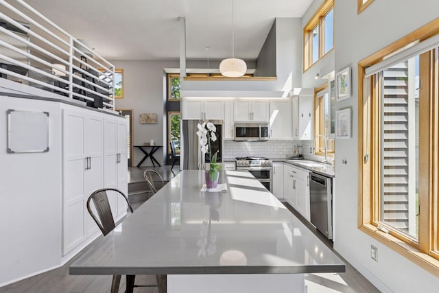 18675 86th Pl N, Maple Grove, MN 55311 - kitchen featuring appliances with stainless steel finishes, tasteful backsplash, white cabinetry, a center island, and a kitchen breakfast bar