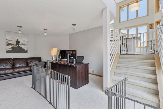 18675 86th Pl N, Maple Grove, MN 55311 - home office with carpet floors