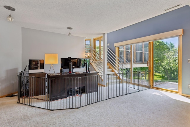 18675 86th Pl N, Maple Grove, MN 55311 - carpeted living area featuring a textured ceiling