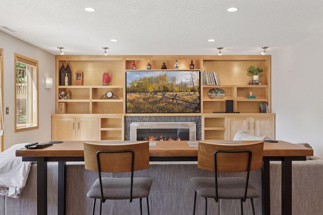 18675 86th Pl N, Maple Grove, MN 55311 - living room featuring a textured ceiling, a glass covered fireplace, recessed lighting, and built in features