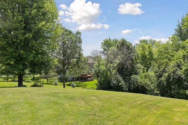 18675 86th Pl N, Maple Grove, MN 55311 - view of green lawn