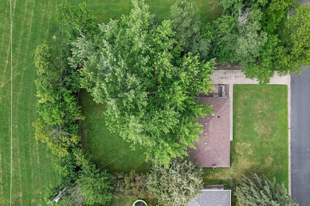 10118 Columbus Ave S, Bloomington, MN 55420 - photo 38