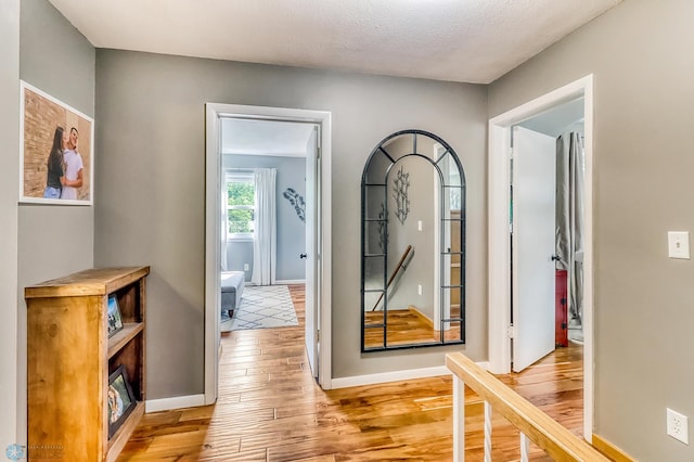 1800 Centre Sq, Moorhead, MN 56560 - corridor with wood finished floors and baseboards