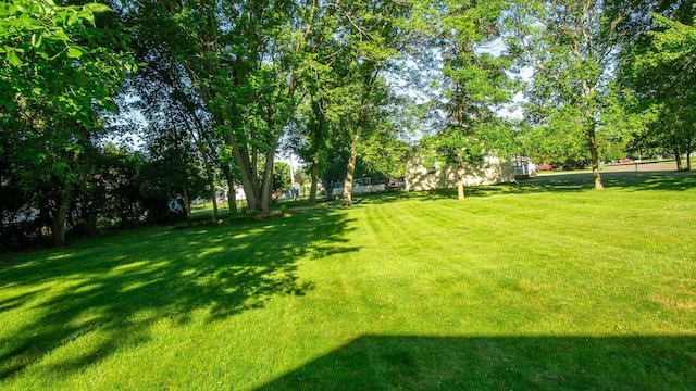 108 Viking Dr, Colfax, WI 54730 - view of green lawn with view of scattered trees