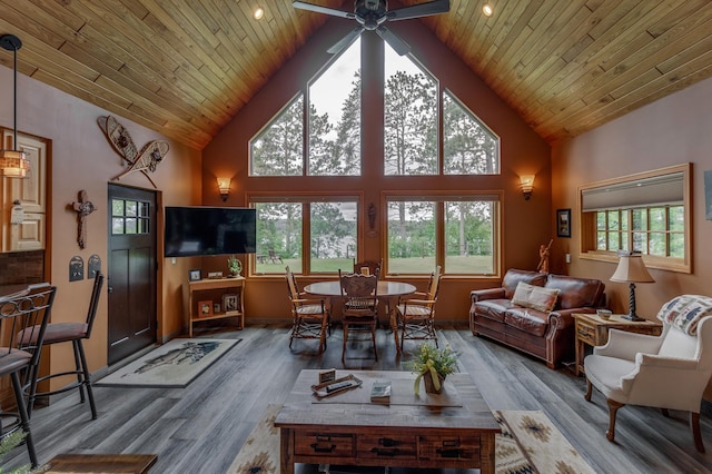 36785 Nestling Pines Pass, Lake George, MN 56458 - photo 5