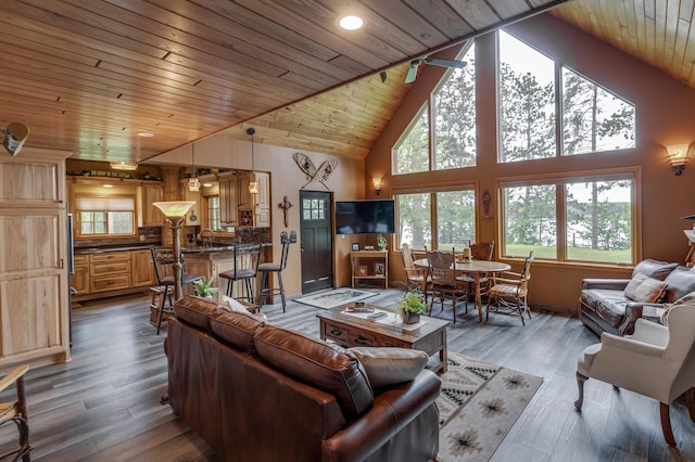 36785 Nestling Pines Pass, Lake George, MN 56458 - photo 8