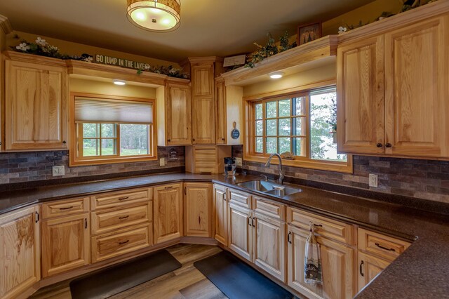 36785 Nestling Pines Pass, Lake George, MN 56458 - photo 9