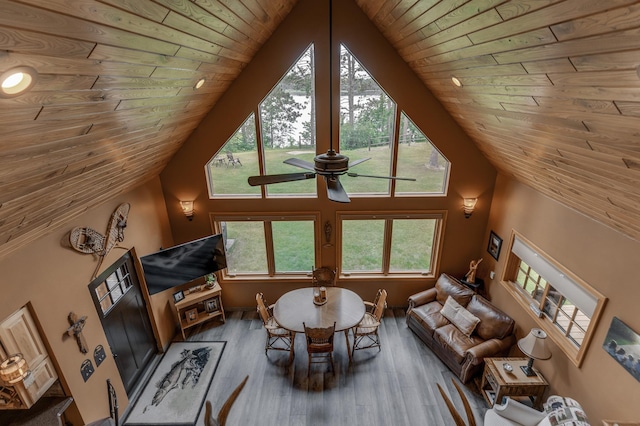 36785 Nestling Pines Pass, Lake George, MN 56458 - photo 13