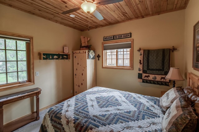 36785 Nestling Pines Pass, Lake George, MN 56458 - photo 19