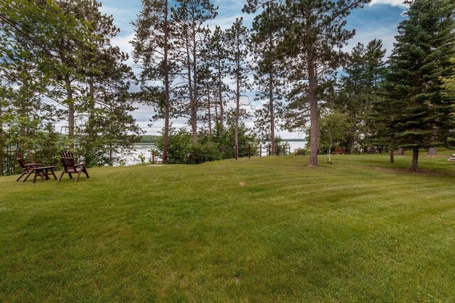 36785 Nestling Pines Pass, Lake George, MN 56458 - photo 35