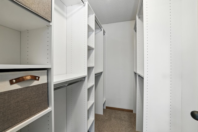 24155 Whispering Cir, East Bethel, MN 55005 - spacious closet featuring carpet flooring