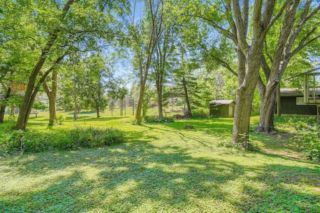 14829 50th St N, Baytown Twp, MN 55082 - view of grassy yard