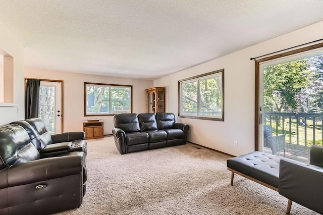 14829 50th St N, Baytown Twp, MN 55082 - living area featuring carpet, plenty of natural light, and a textured ceiling