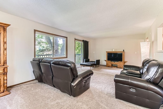 14829 50th St N, Baytown Twp, MN 55082 - living room featuring carpet and a textured ceiling