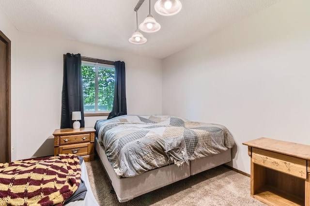 14829 50th St N, Baytown Twp, MN 55082 - view of carpeted bedroom