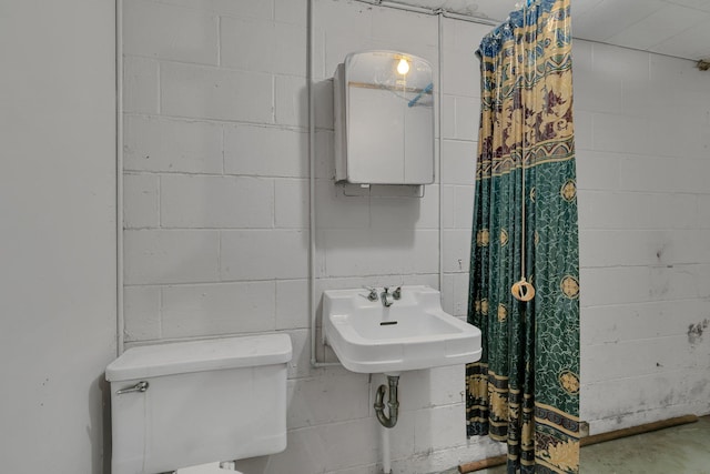 11965 State Highway 15, Kimball, MN 55353 - bathroom with concrete block wall and concrete flooring